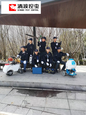 鎮(zhèn)江殺蟲公司 全方位害蟲治理服務，守護您的健康與安寧